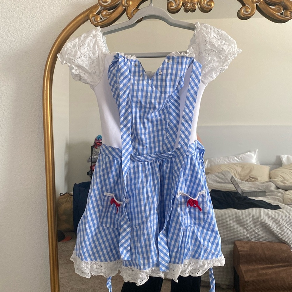 Dorothy Costume